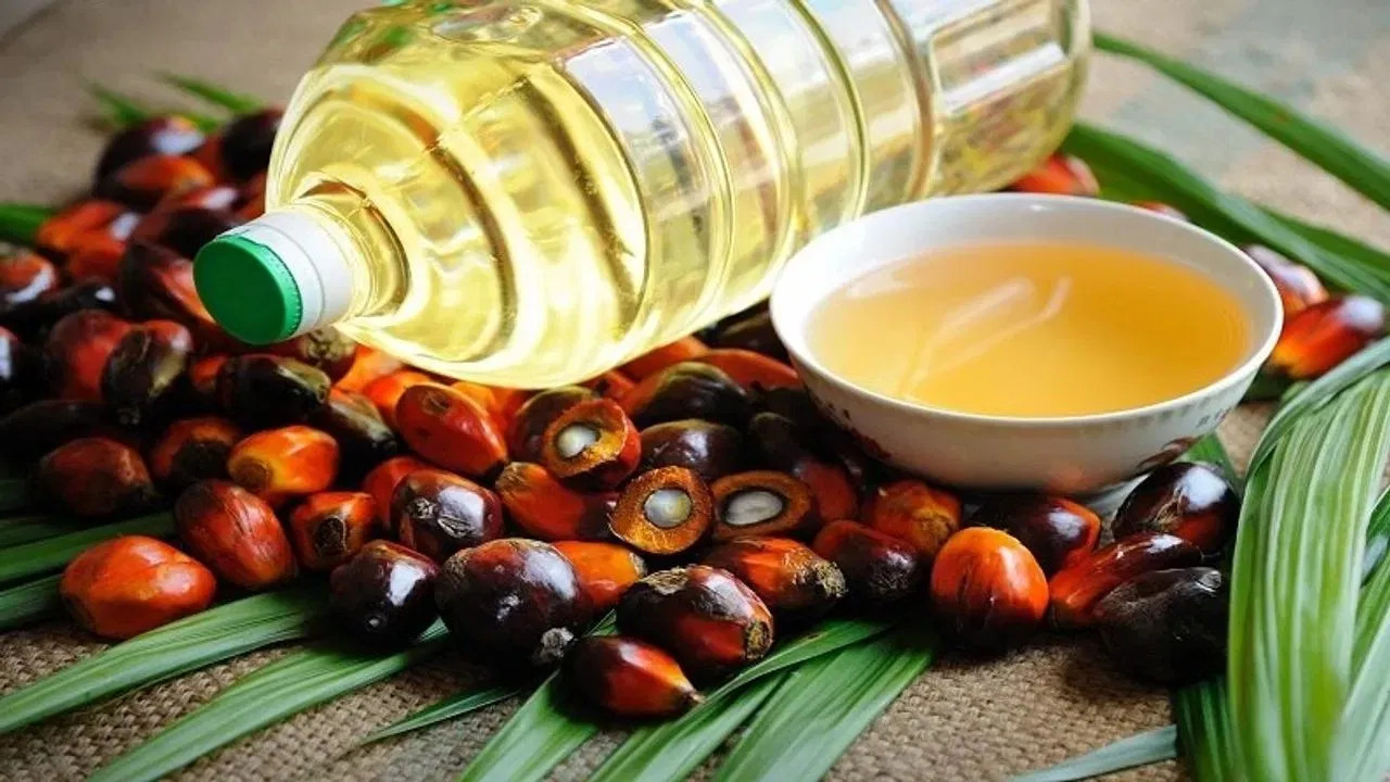  The government has announced a significant 10 reduction in customs duty on edible oils 
