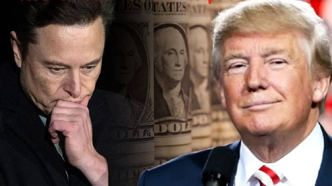  Musk was defeated in politics, lost so many lakh crores Trump won the game 