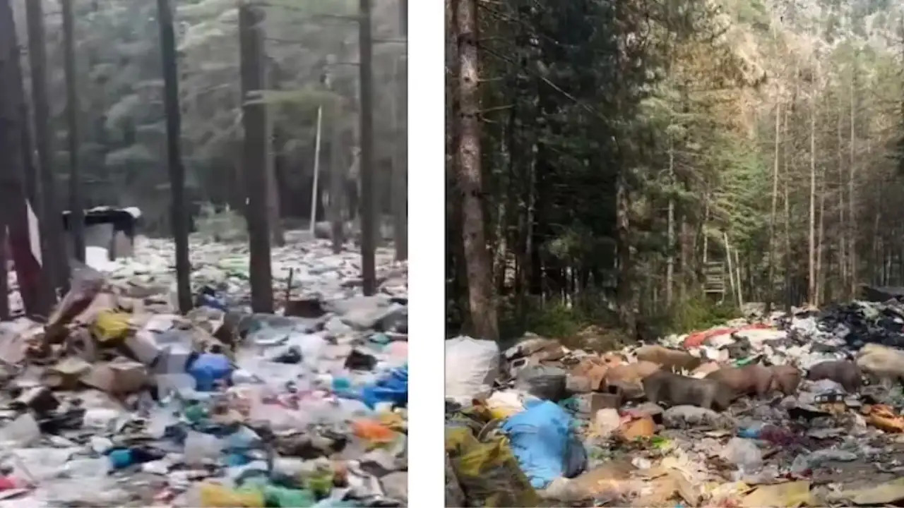  Garbage Overshadows Kasols Beauty Viral Video Sparks Outrage 
