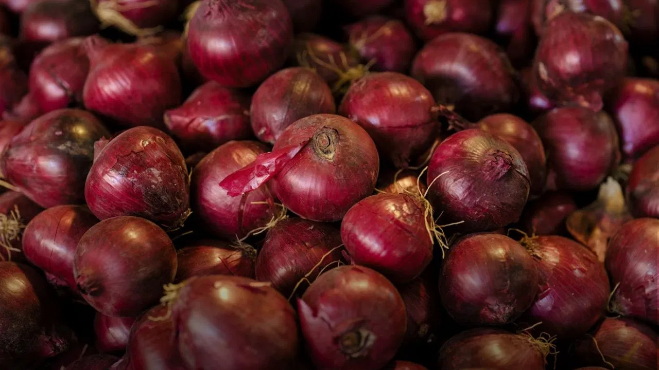  May Rains Wreak Havoc on Maharashtras Onion Farmers, Prices