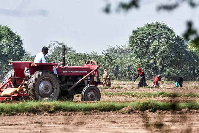 How AgriTech Startups Are Giving Punjab’s Farmers a Second Income?
