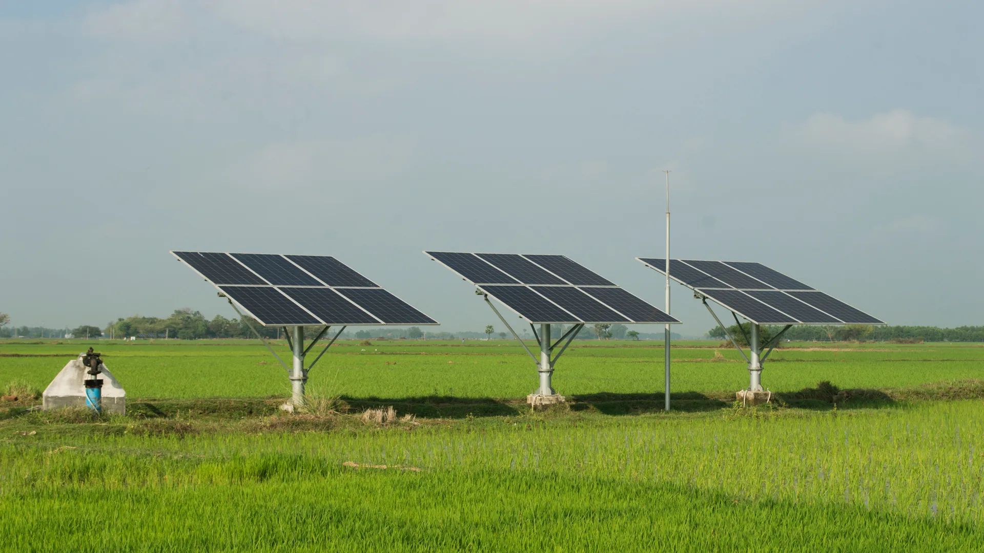 Solar-Powered Equipment in Punjab Farming | Sustainable Agriculture Solutions