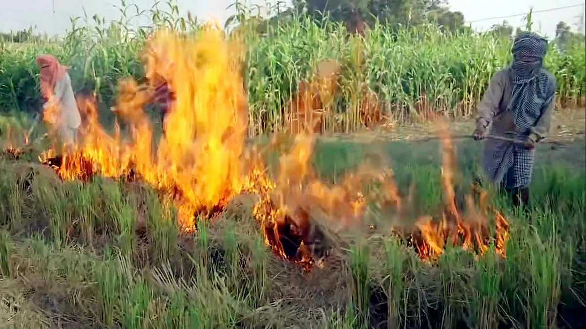 Can AgriTech Curb Stubble Burning in Punjab?