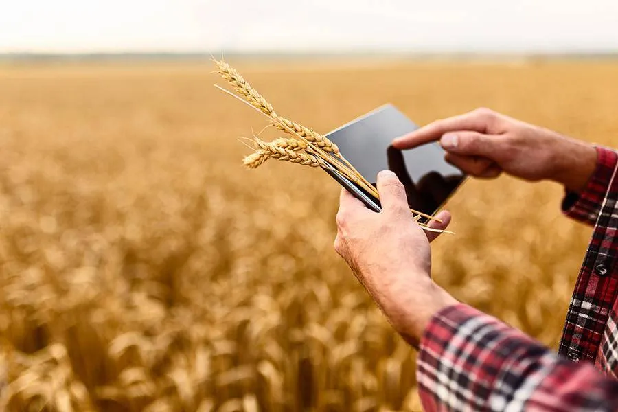 5 AgriTech Startups Bringing Fresh Energy to Farming in Punjab
