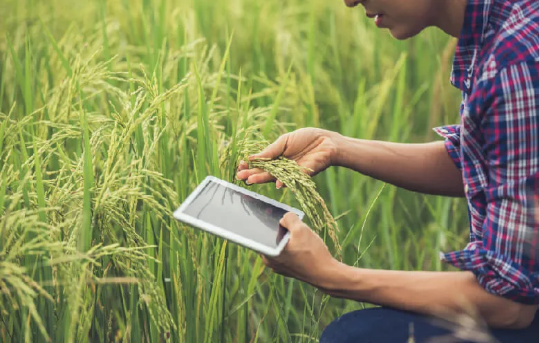 Mobile Apps for Pest and Disease Control in Maharashtra | Sm