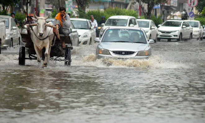 Report civic issues in Ahmedabad online—roads, water & more