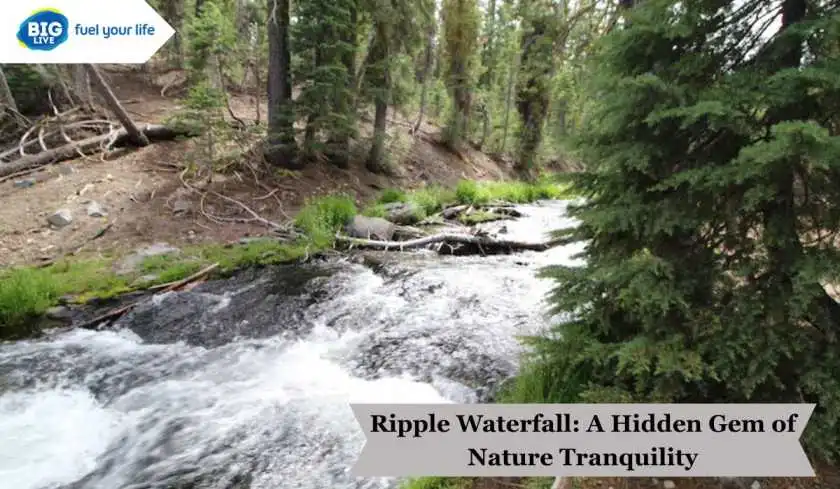 Ripple Waterfalls: A Hidden Gem of Nature Tranquility