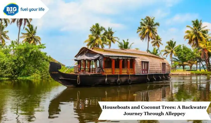 Houseboats and Coconut Trees: A Backwater Journey Through Alleppey