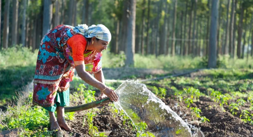 Organic Farming in Kerala: Digging Deeper, Growing Better