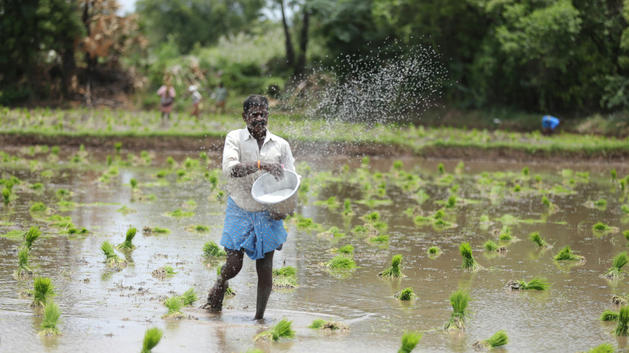  Kharif Crop Surge in 2025 May Help Tame Inflation and Lift Rural Growth Report 