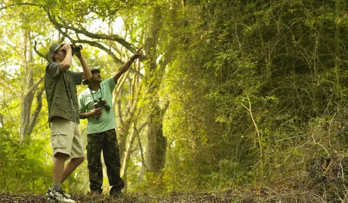 Betla National Park: Jharkhand Safari & Wildlife Adventures