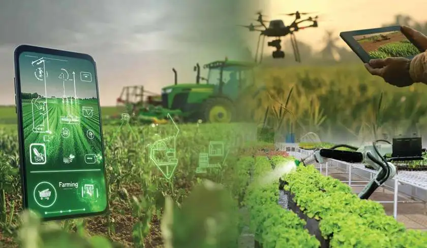 How Smart Agri-Tech Tools Are Transforming Villages in Assam