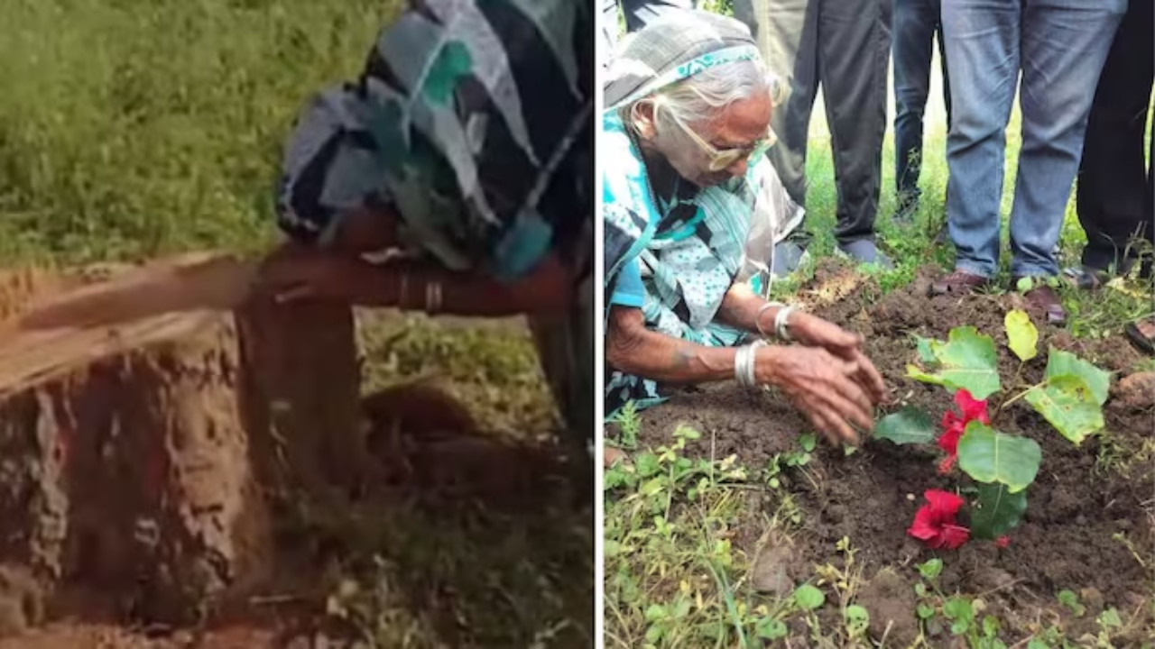  Elderly Woman Breaks Down as Peepal Tree She Planted 20 Years Ago Is Cut Down 