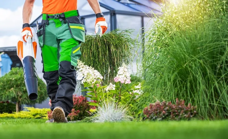 Easy Garden Maintenance Routines For Busy Homeowners