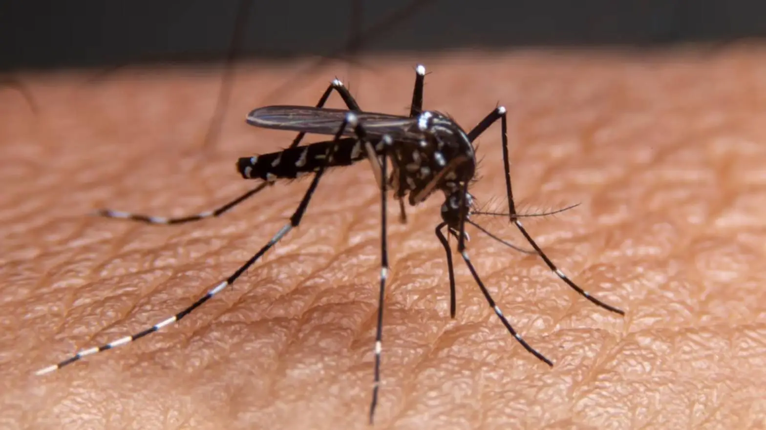 Beyond Dengue And Diabetes: Heart Health Battle in West Bengal