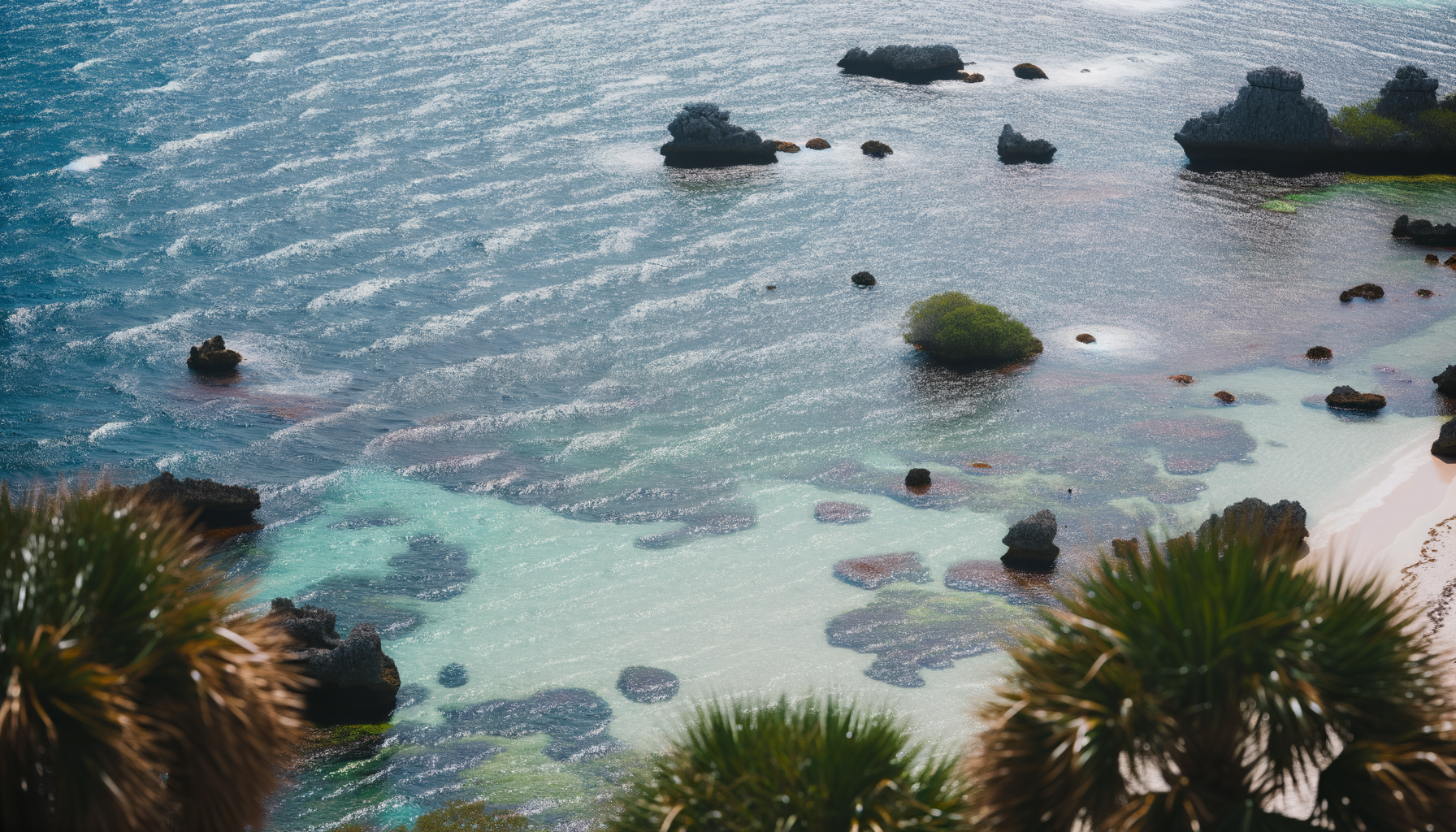  Florida Attractions Locals Secretly Hope You Never Find