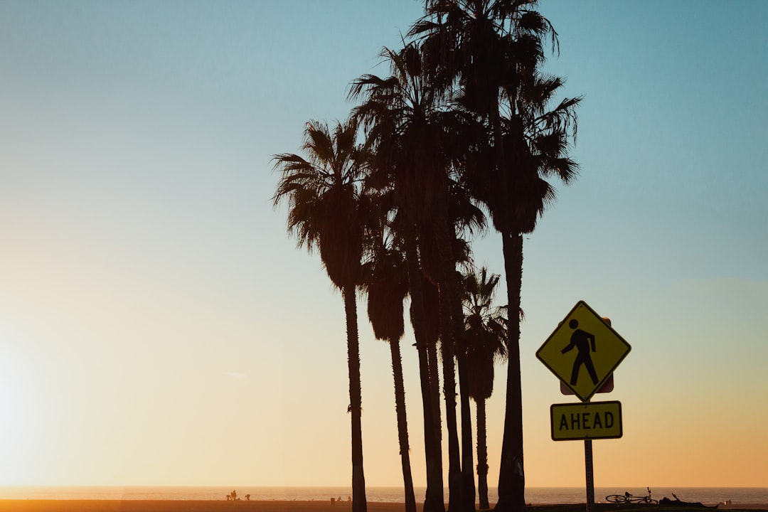  Access California's Secret To Better Mental Health