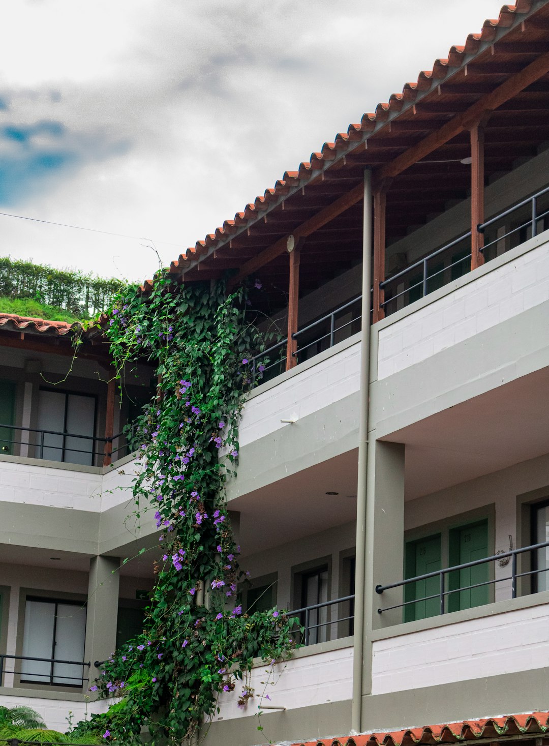  Achieve Dream Spaces With Unison Home Renovation Magic