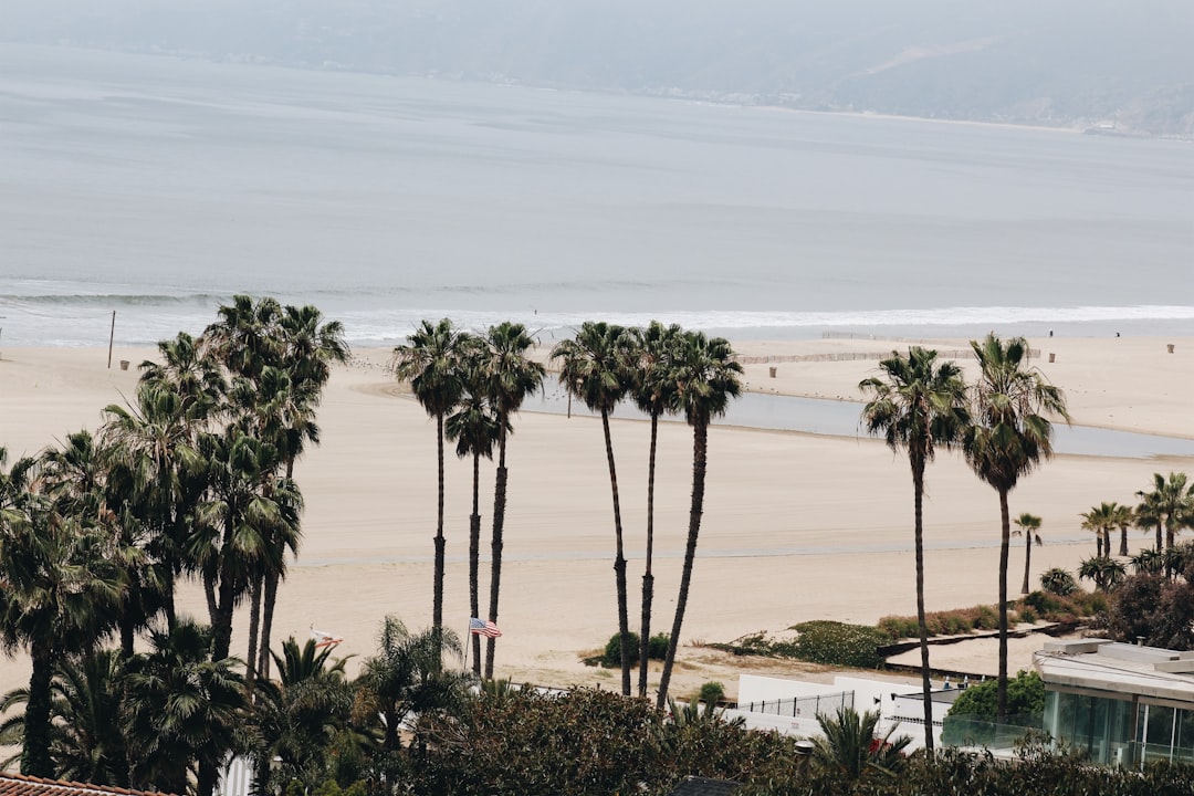  California's Mental Health Secrets Revealed To Achieve Peace