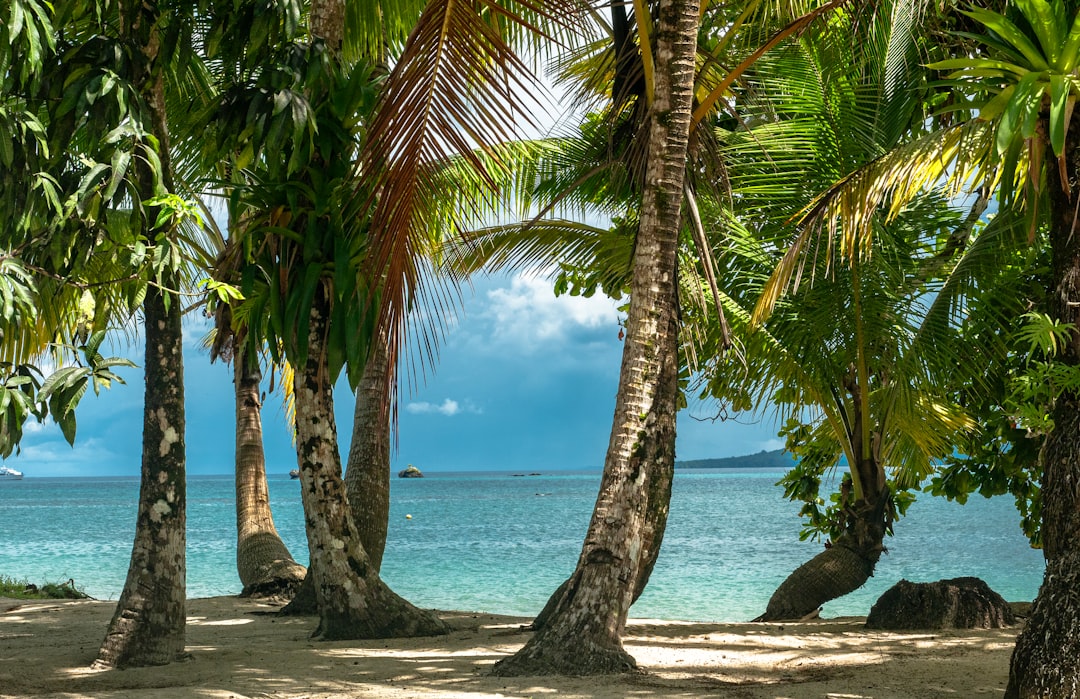  Find Your Perfect Caribbean Island First Timer's Paradise