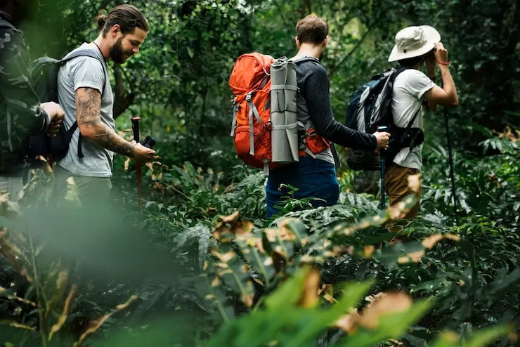 New Activities Platform Reveals Hidden Adventures Start Today