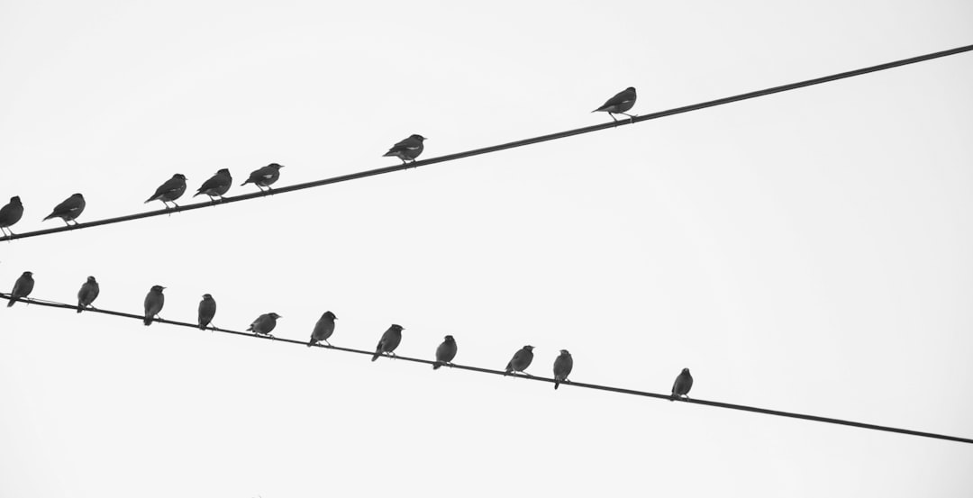  Revolutionary Insights Exploding Efficacy Of Peer Support Now