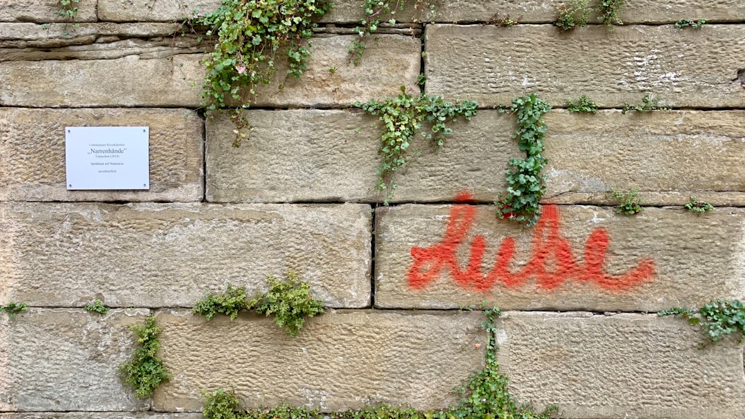  Revolutionize Home Vibes With Genius Wall Signs Secrets
