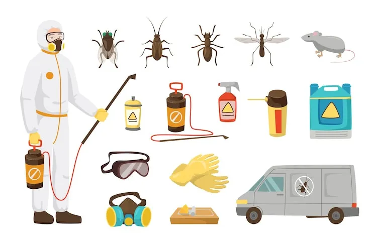Transform Your Home With Effortless Total Pest Elimination