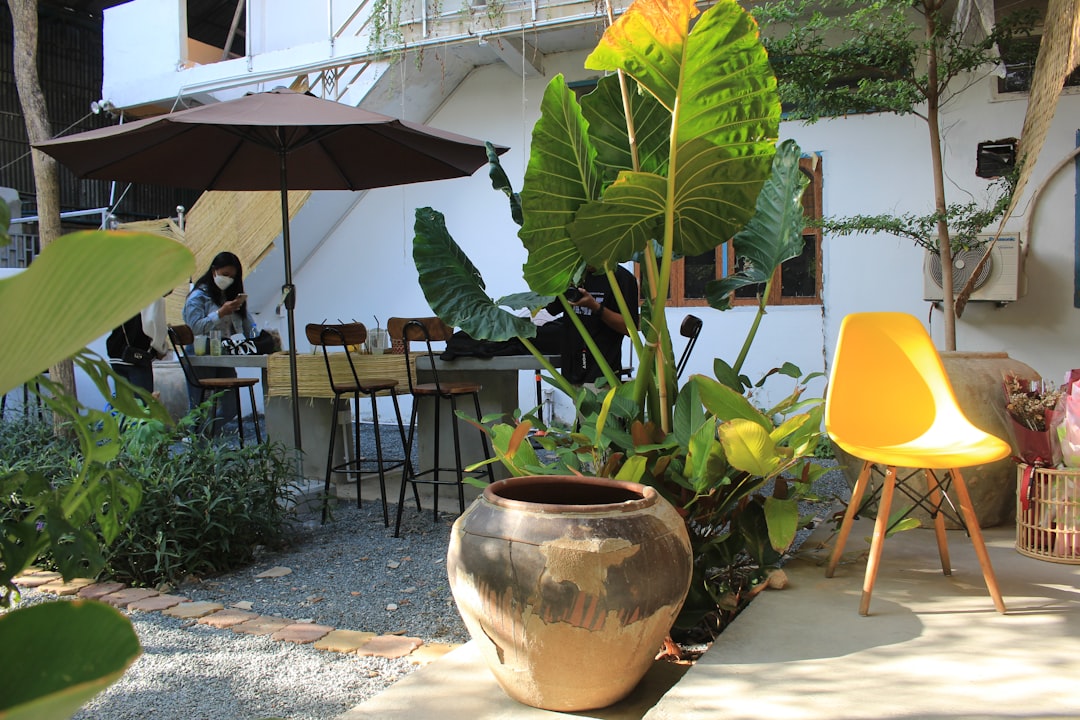  Transform Outdoor Spaces With Effortless Elegant Patio Ideas