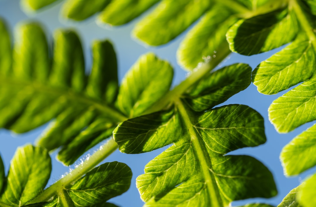  Transform Your Business Revolutionize Environmentally Sustainable Work Practices