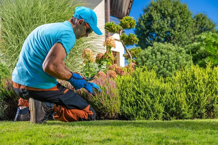 Transform Your Yard With Expert Gardening Services Today