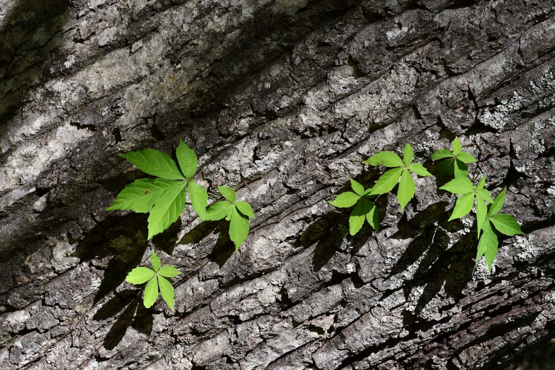  Transformative Strategies For Ultimate Sustainability Cost Savings Success