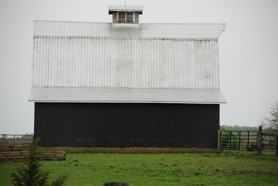  Achieve Luxe Farmhouse Interiors On Any Budget Today