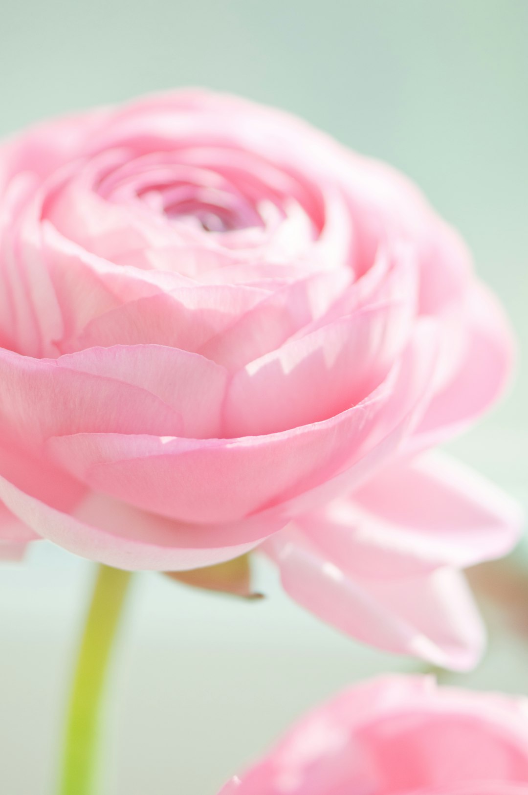  Breast Cancer Insights Doctors Wish Youd Discover Today