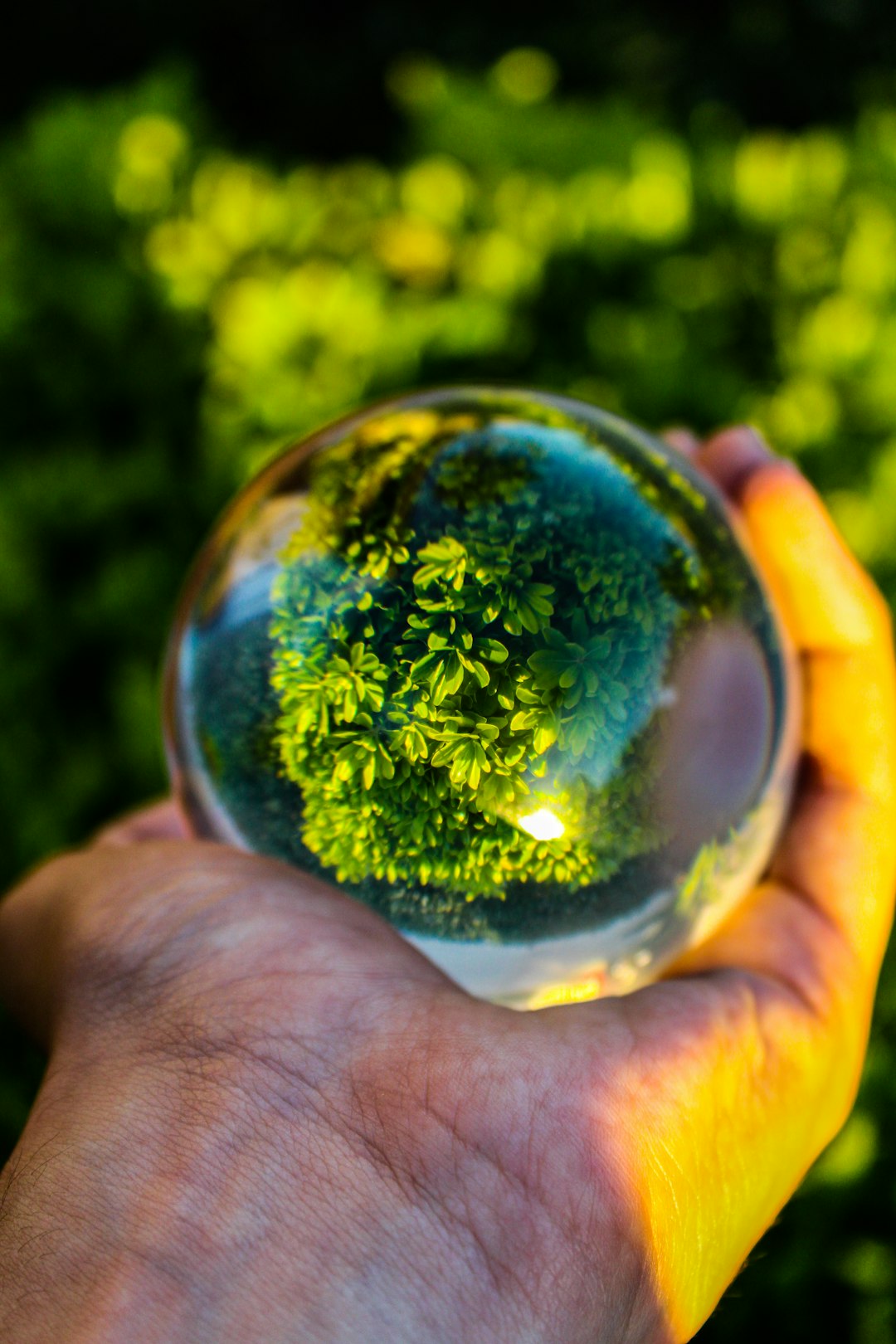  Build Wealth With Minimal Risk Using Sustainable Business Secrets