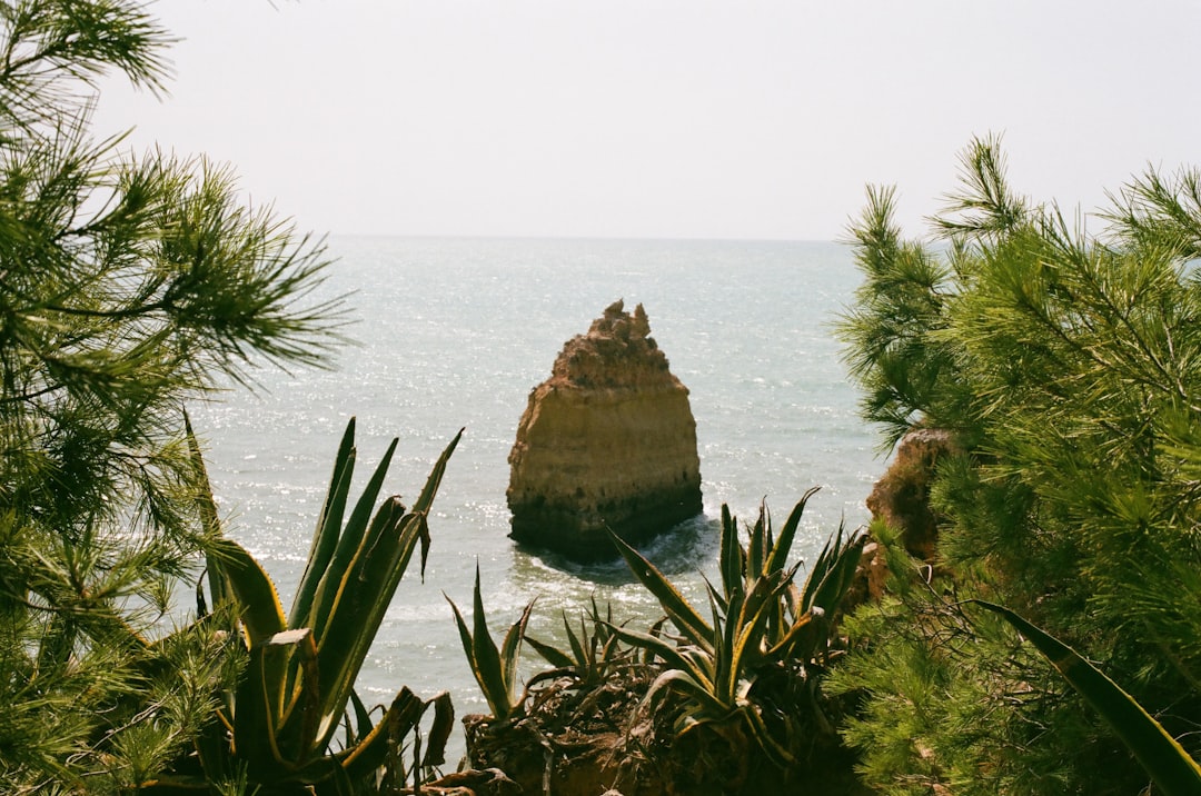  Explore Lucrative Secrets East Coasts Hidden Gem Destinations