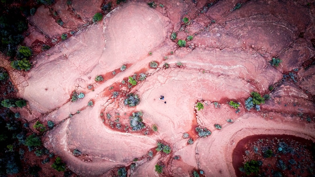  Reveal Secrets Experts Want Hidden About Breast Cancer