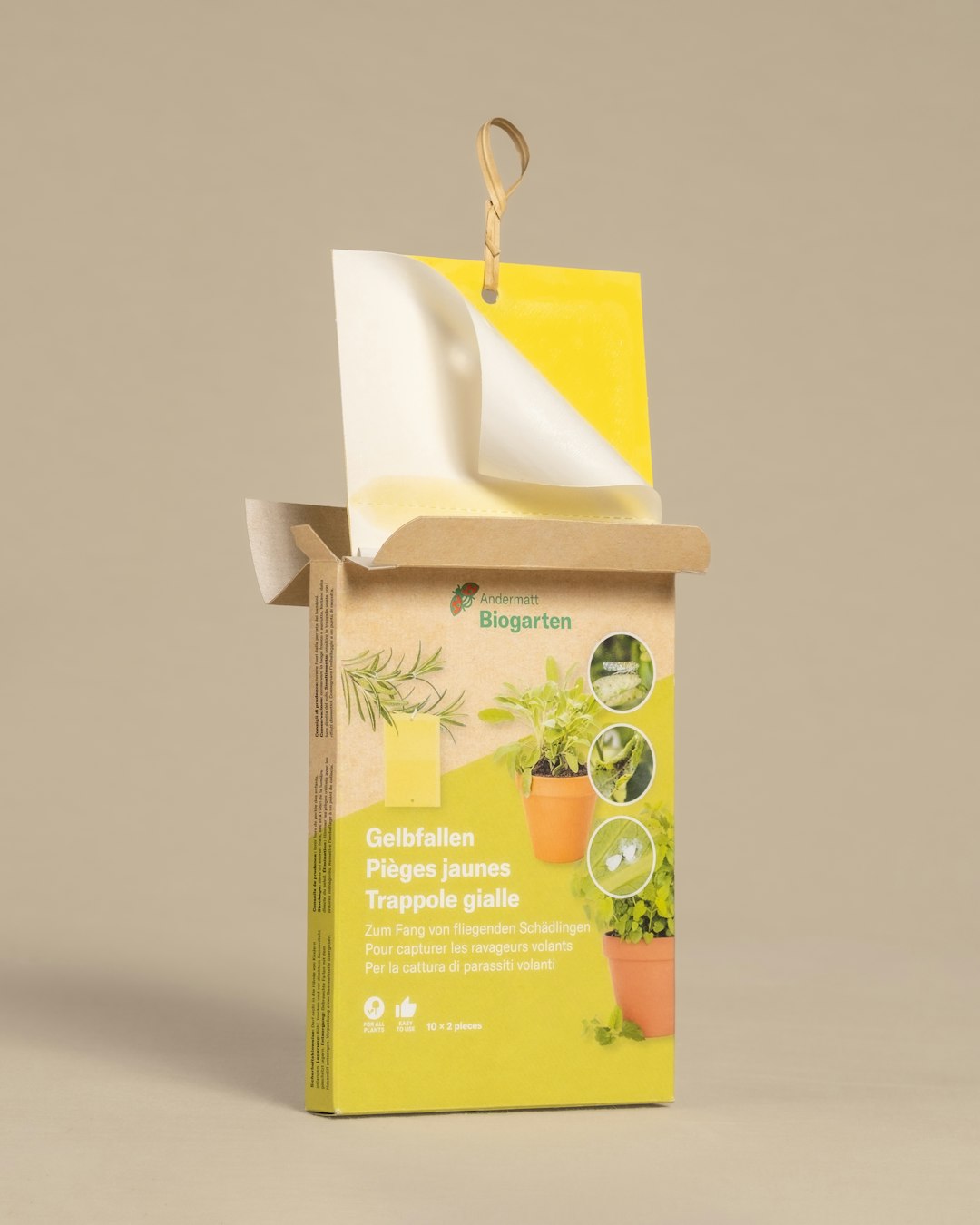  Revolutionize Your Business With Sustainable Packaging System Development