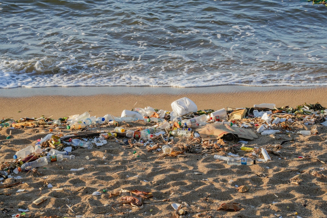  Transform Plastic Waste With Revolutionary Sustainable Solutions Today