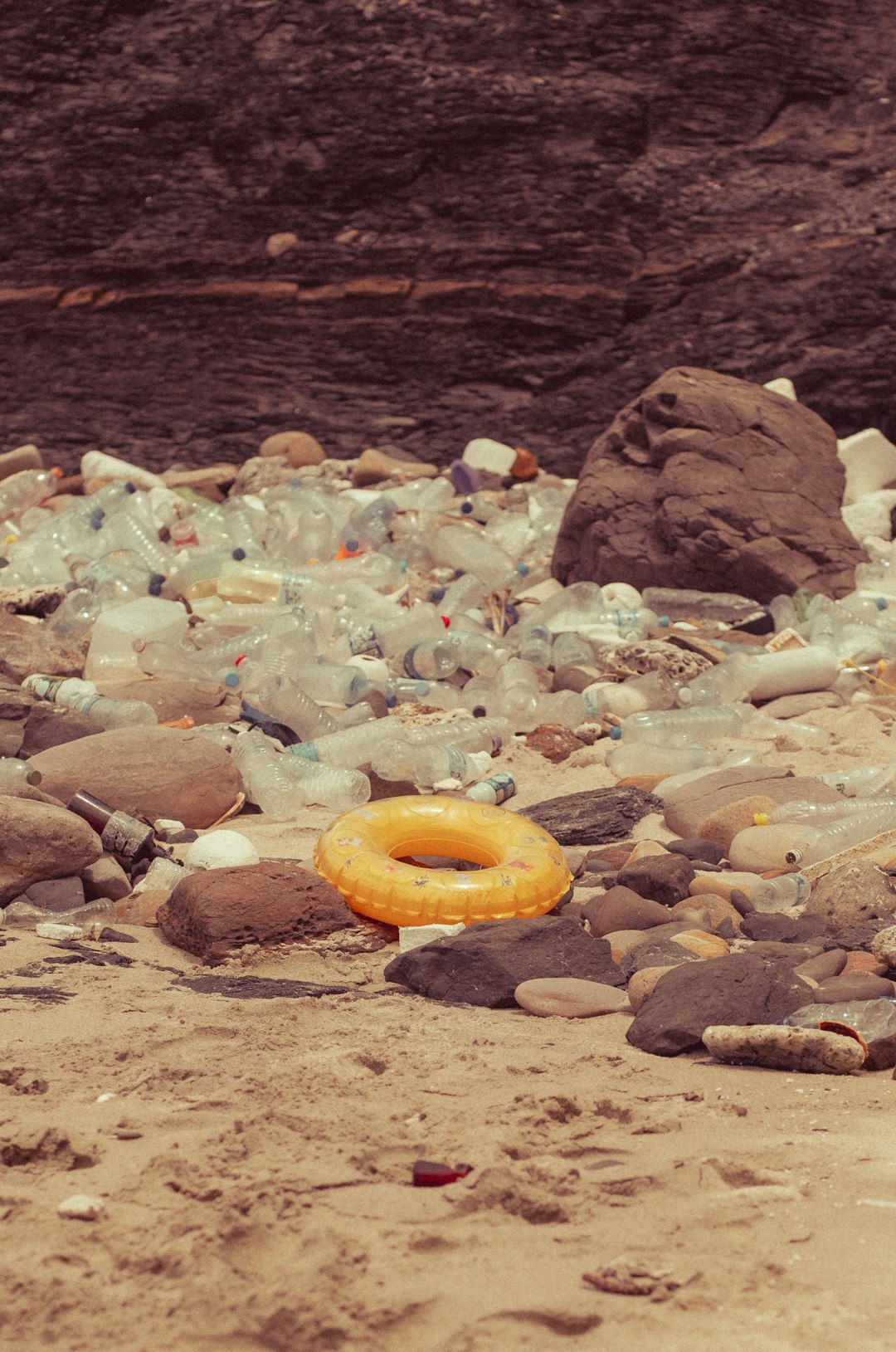  Ultimate Guide To Shocking Sustainable Plastic Solutions