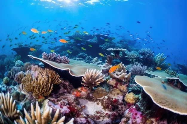 The Beauty Beneath the Waves: Secrets of the Underwater World