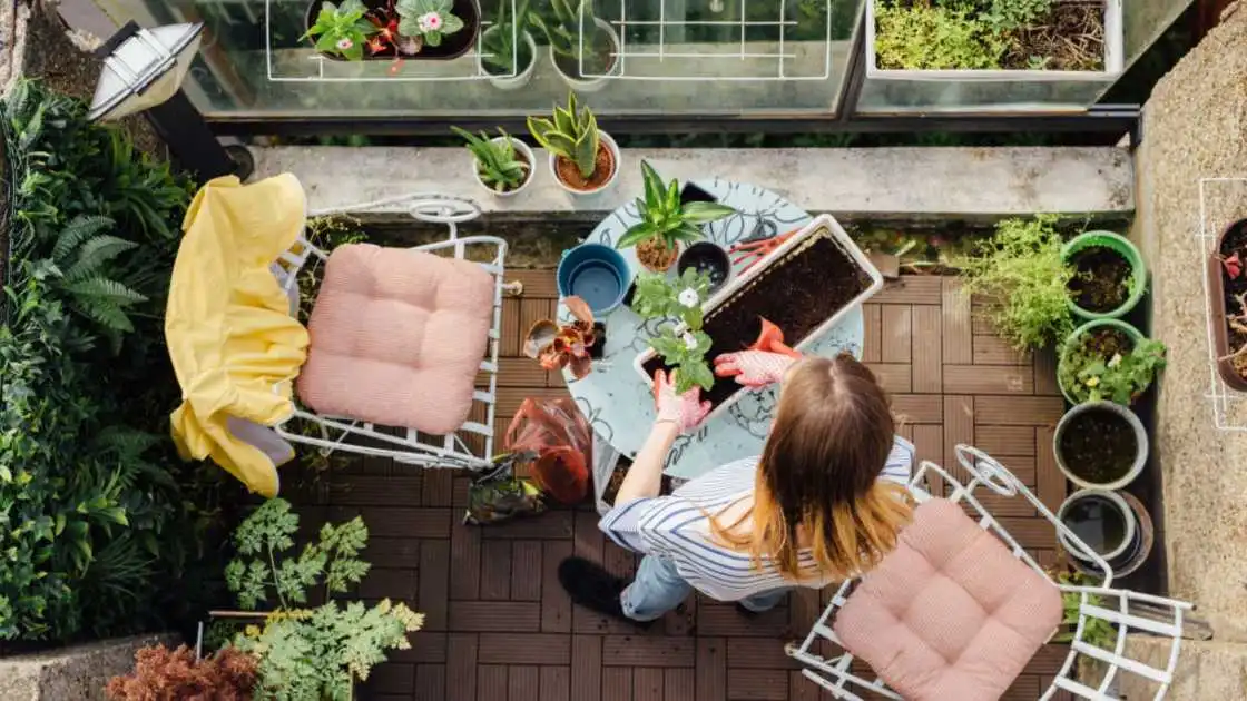 Small Balcony Garden Ideas For Apartments